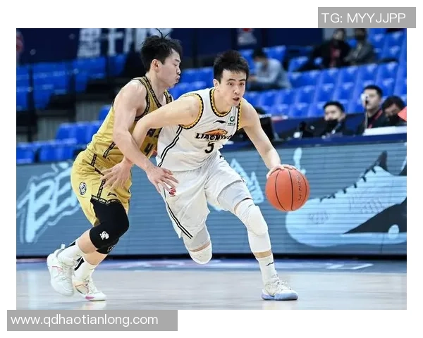 篮球专题：聚焦南京篮球队的耐力